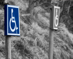 A black-and-white photograph of two handicap signs on metal posts, at the edge of a parking lot with bushes in the background. One sign is in colour (blue and white), the only part of the photo that is in colour.